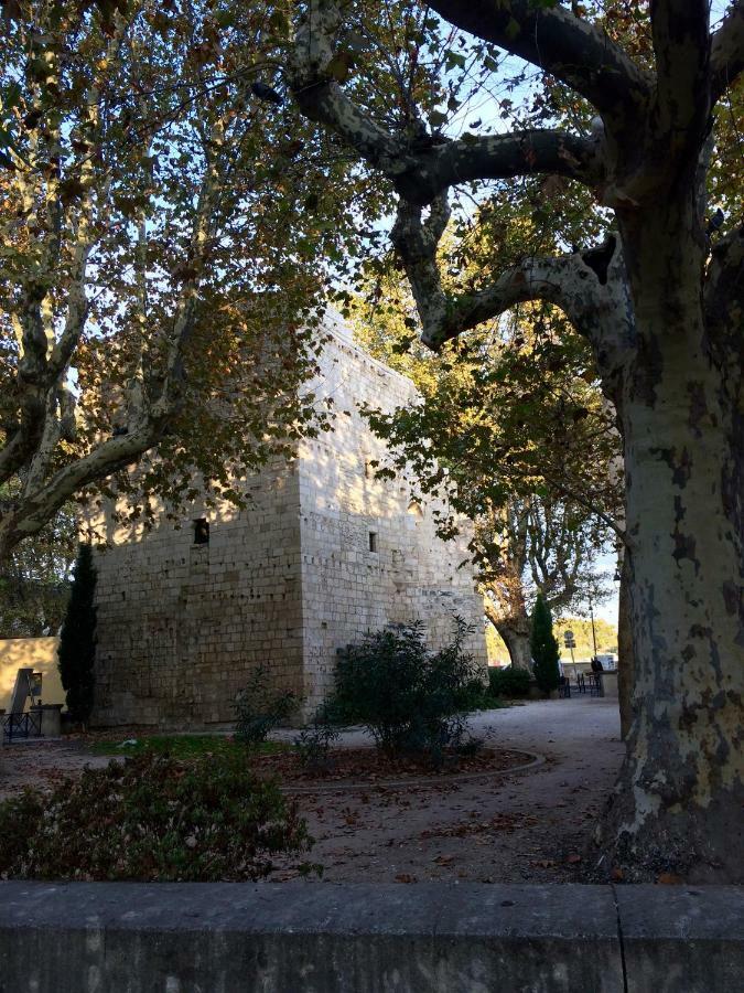 La Maison De Lara Villa Arles Kültér fotó